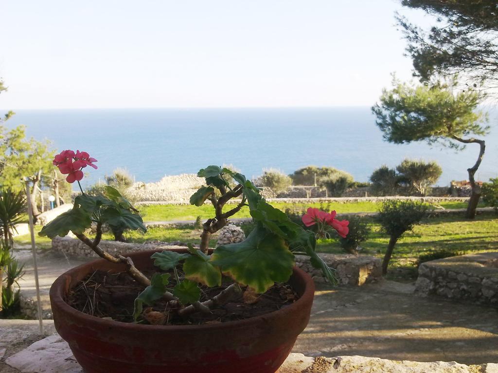 Villa Aquarium Gagliano del Capo Εξωτερικό φωτογραφία