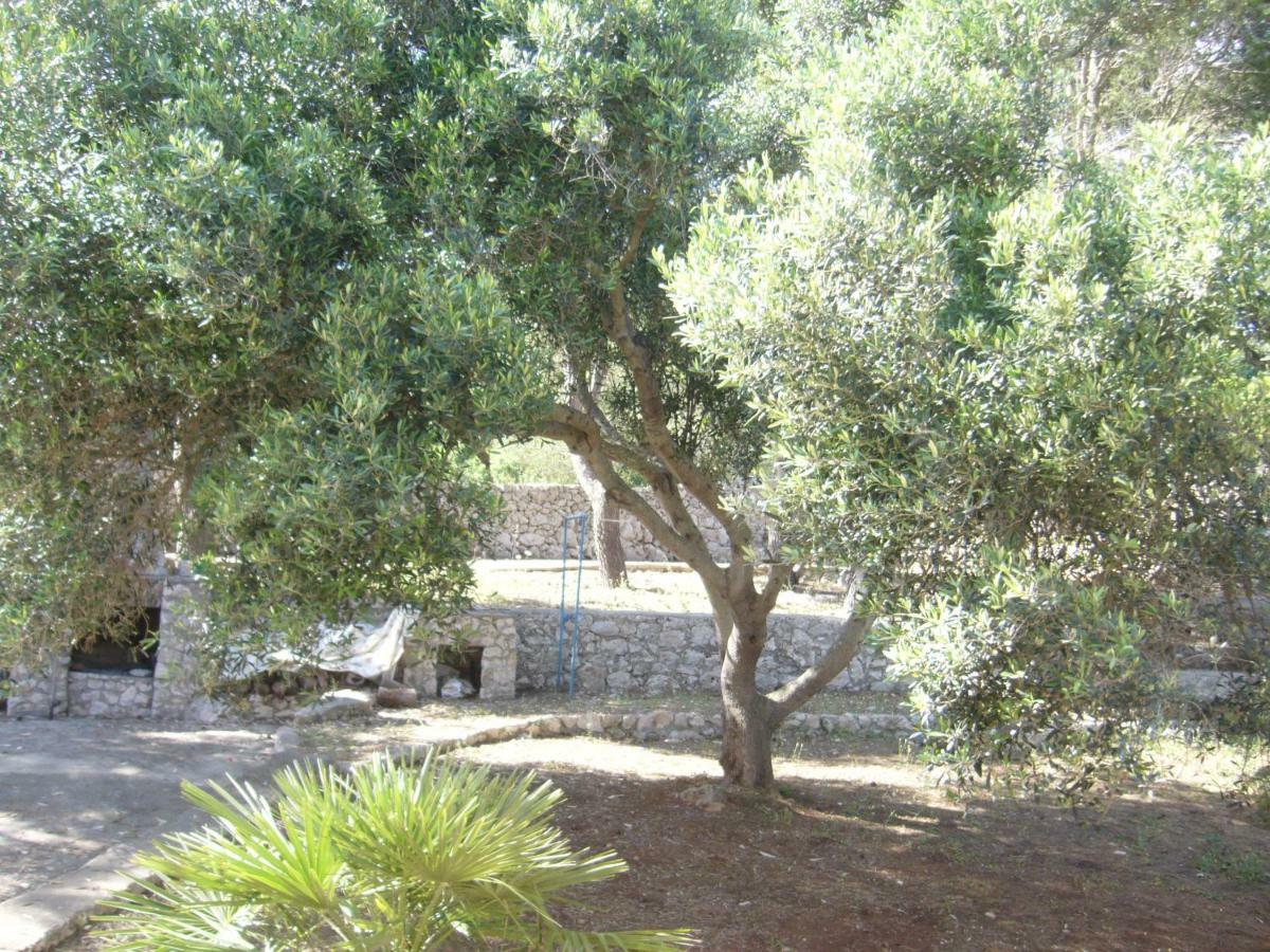 Villa Aquarium Gagliano del Capo Εξωτερικό φωτογραφία