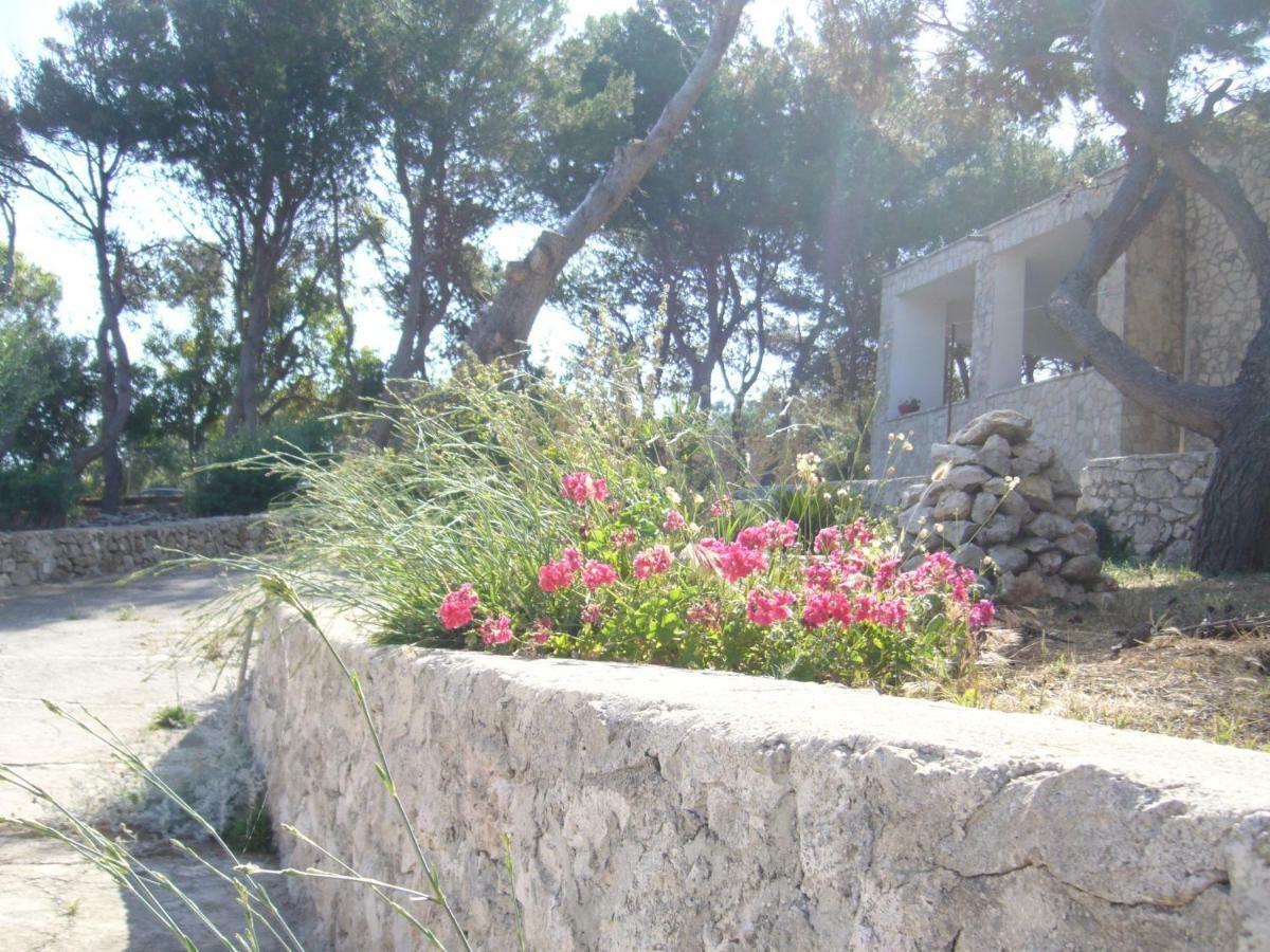 Villa Aquarium Gagliano del Capo Εξωτερικό φωτογραφία